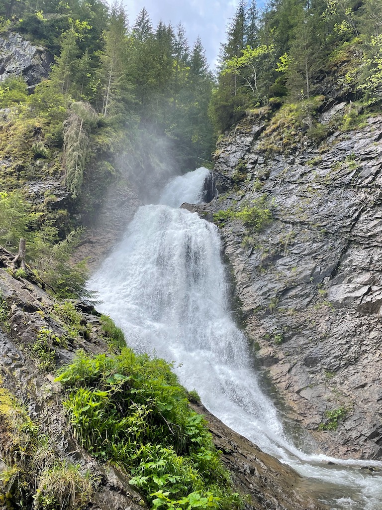 Wasserfall Wald